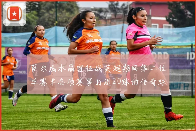萨尔成水晶宫征战英超期间第二位单赛季各项赛事打进20球的传奇球员