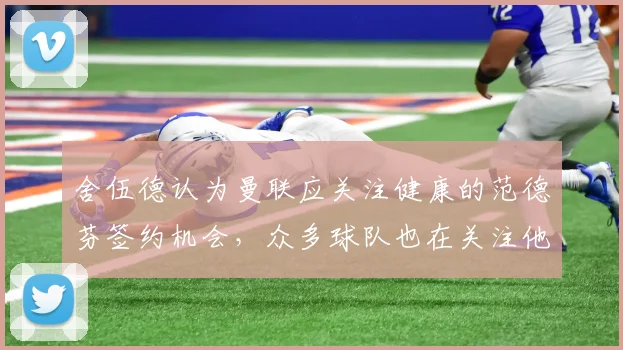 舍伍德认为曼联应关注健康的范德芬签约机会，众多球队也在关注他